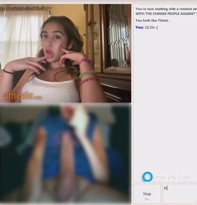 Omegle Big Tits Latina